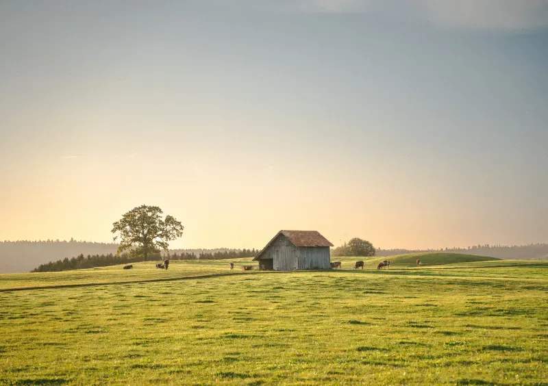 Cómo disfrutar de una escapada rural en Sierra Norte durante la primavera