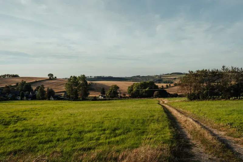 EcoCampo Sierra Norte 12
