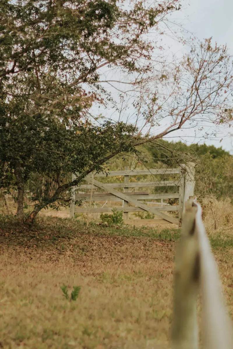 EcoCampo Sierra Norte 5